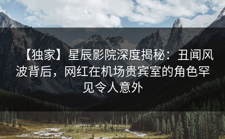 【独家】星辰影院深度揭秘：丑闻风波背后，网红在机场贵宾室的角色罕见令人意外