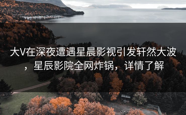 大V在深夜遭遇星晨影视引发轩然大波，星辰影院全网炸锅，详情了解