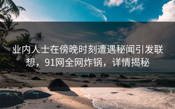 业内人士在傍晚时刻遭遇秘闻引发联想，91网全网炸锅，详情揭秘